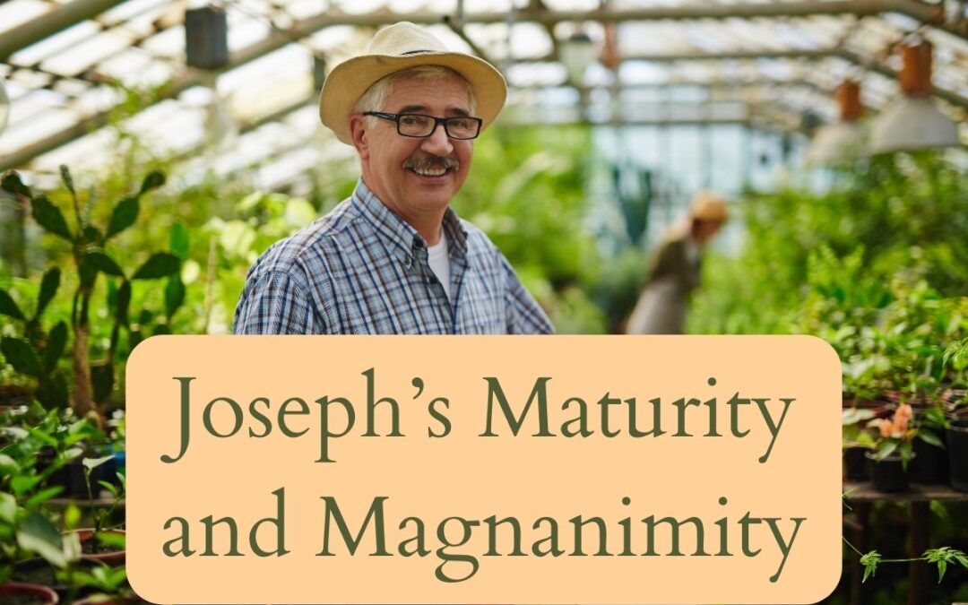 Treasure Spring Serial 003 – Joseph’s Maturity and Magnanimity